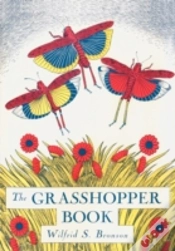Capa do artigo Grasshopper Book