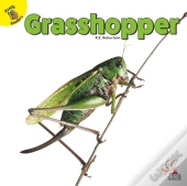 Grasshopper