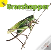 Capa do artigo Grasshopper