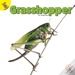Capa do artigo Grasshopper