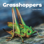 Grasshoppers - Preview