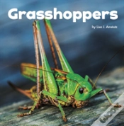 Capa do artigo Grasshoppers