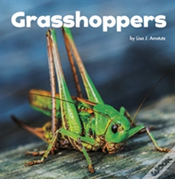 Capa do artigo Grasshoppers