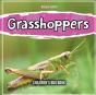 Grasshoppers - Preview