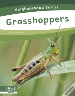 Capa do artigo Grasshoppers