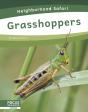 Grasshoppers - Preview