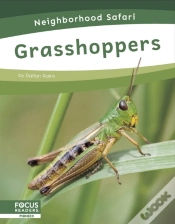 Capa do artigo Grasshoppers