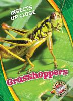 Grasshoppers