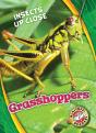 Grasshoppers - Preview