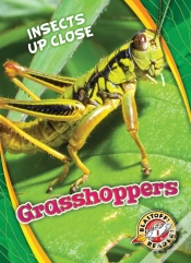Capa do artigo Grasshoppers