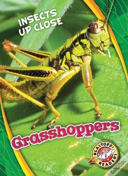 Capa do artigo Grasshoppers