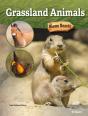 Grassland Animals - Preview