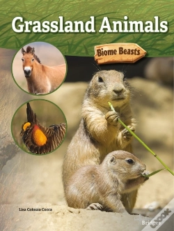 Capa do artigo Grassland Animals