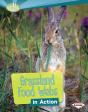 Grassland Food Webs In Action - Preview