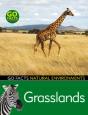 Grasslands - Preview