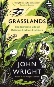 Capa do artigo Grasslands