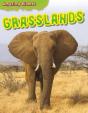 Grasslands - Preview