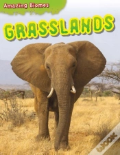 Capa do artigo Grasslands