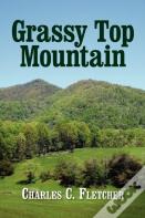 Grassy Top Mountain