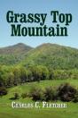 Grassy Top Mountain - Preview
