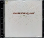 Capa do artigo Gratitude - CD