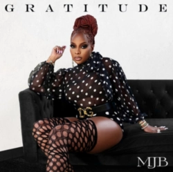 Capa do artigo Gratitude - CD