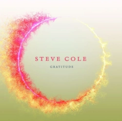 Capa do artigo Gratitude - CD