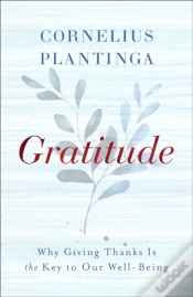 Capa do artigo Gratitude