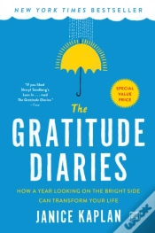 Capa do artigo Gratitude Diaries