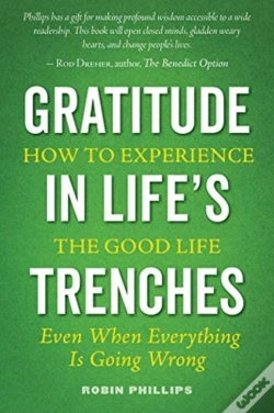 Capa do artigo Gratitude In Life'S Trenches