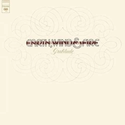 Capa do artigo Gratitude - Vinil