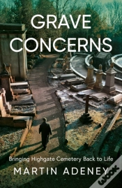 Capa do artigo Grave Concerns