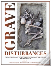 Capa do artigo Grave Disturbances