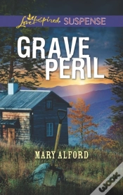 Capa do artigo Grave Peril