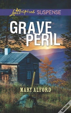 Capa do artigo Grave Peril