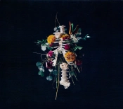 Capa do artigo Graves Into Gardens - CD