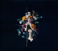 Capa do artigo Graves Into Gardens - CD