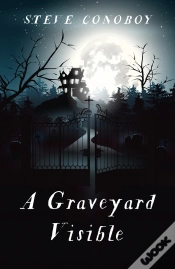 Capa do artigo Graveyard Visible