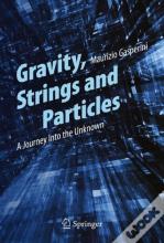 Gravity, Strings And Particles