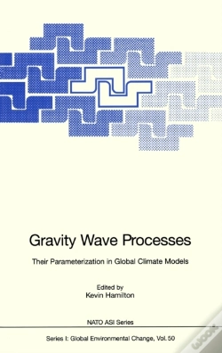 Capa do artigo Gravity Wave Processes