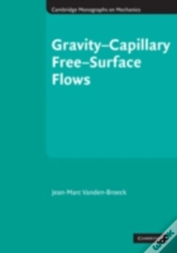 Capa do artigo Gravityâ€“Capillary Free-Surface Flows