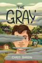 Gray - Preview