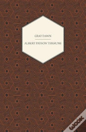 Capa do artigo Gray Dawn