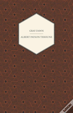 Capa do artigo Gray Dawn