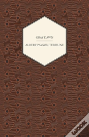 Capa do artigo Gray Dawn