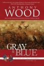 Gray & Blue - Preview