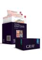Gray Flashcards De Anatomia - Preview