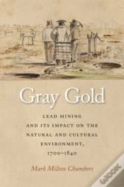 Capa do artigo Gray Gold