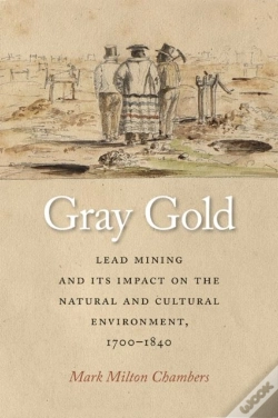 Capa do artigo Gray Gold