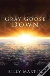 Capa do artigo Gray Goose Down